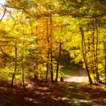 4068224066 - Galerie Photos Autour de Domancy