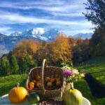 3337334349 - Galerie Photos Autour de Domancy