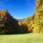 1871567758 - Galerie Photos Autour de Domancy