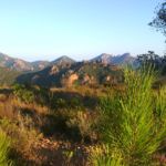 1169110822 - Galerie Photos Autour de Agay / Saint-Rapha&euml;l