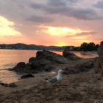 345952964 - Galerie Photos Autour de Agay / Saint-Rapha&euml;l