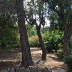 391806527 - Galerie Photos Autour de Agay / Saint-Rapha&euml;l