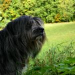 543270423 - Galerie Photos Autour de Domancy