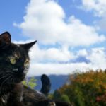 161317913 - Galerie Photos Autour de Domancy